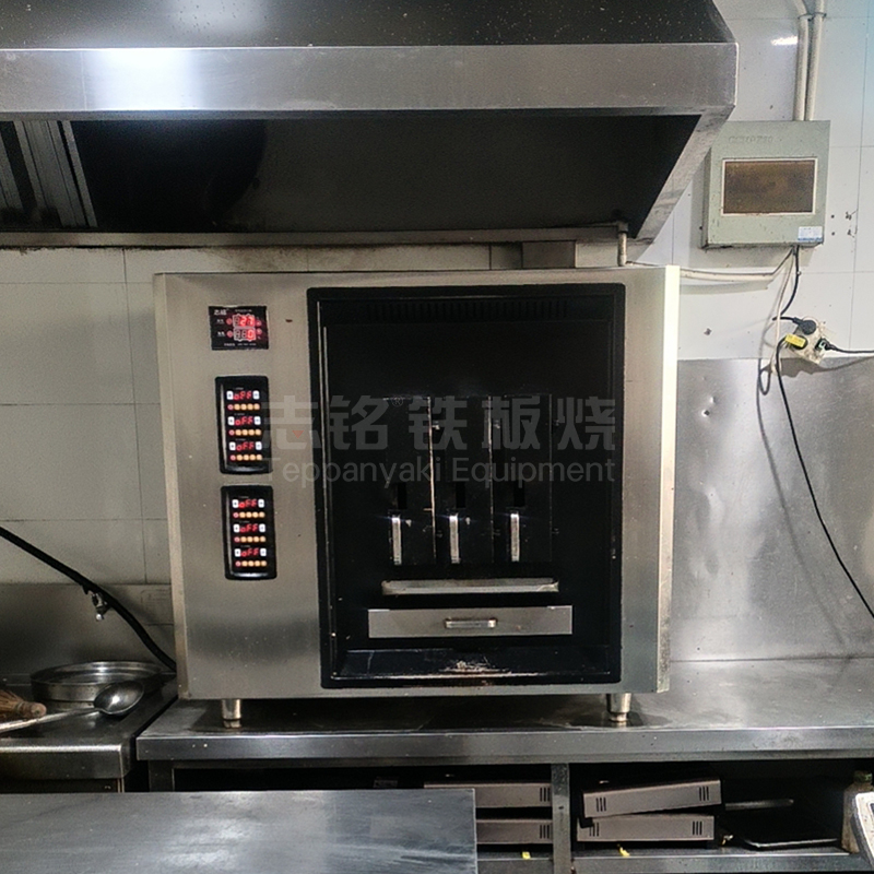 志铭柜式4口电烤鱼炉 图4