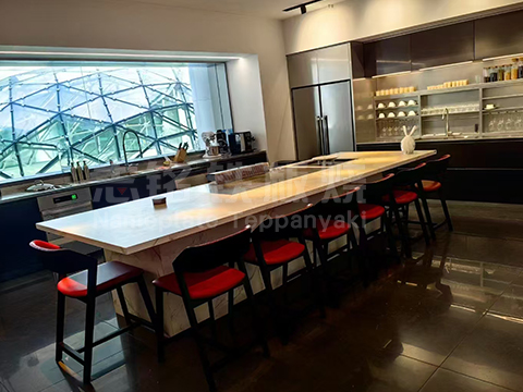 别墅会所单位招待铁板烧设备定制 图3